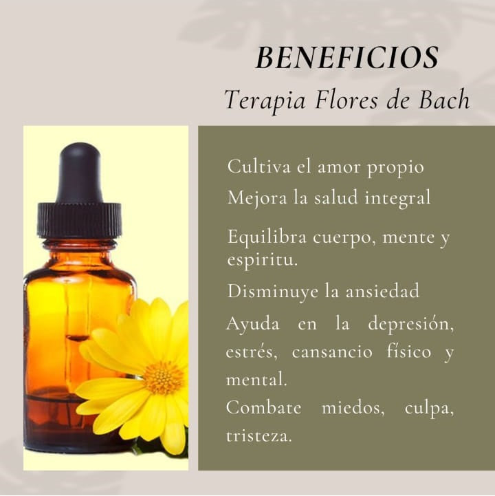 Terapia flores de bach